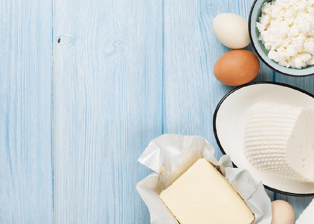 dairy products blocks of cheese and eggs