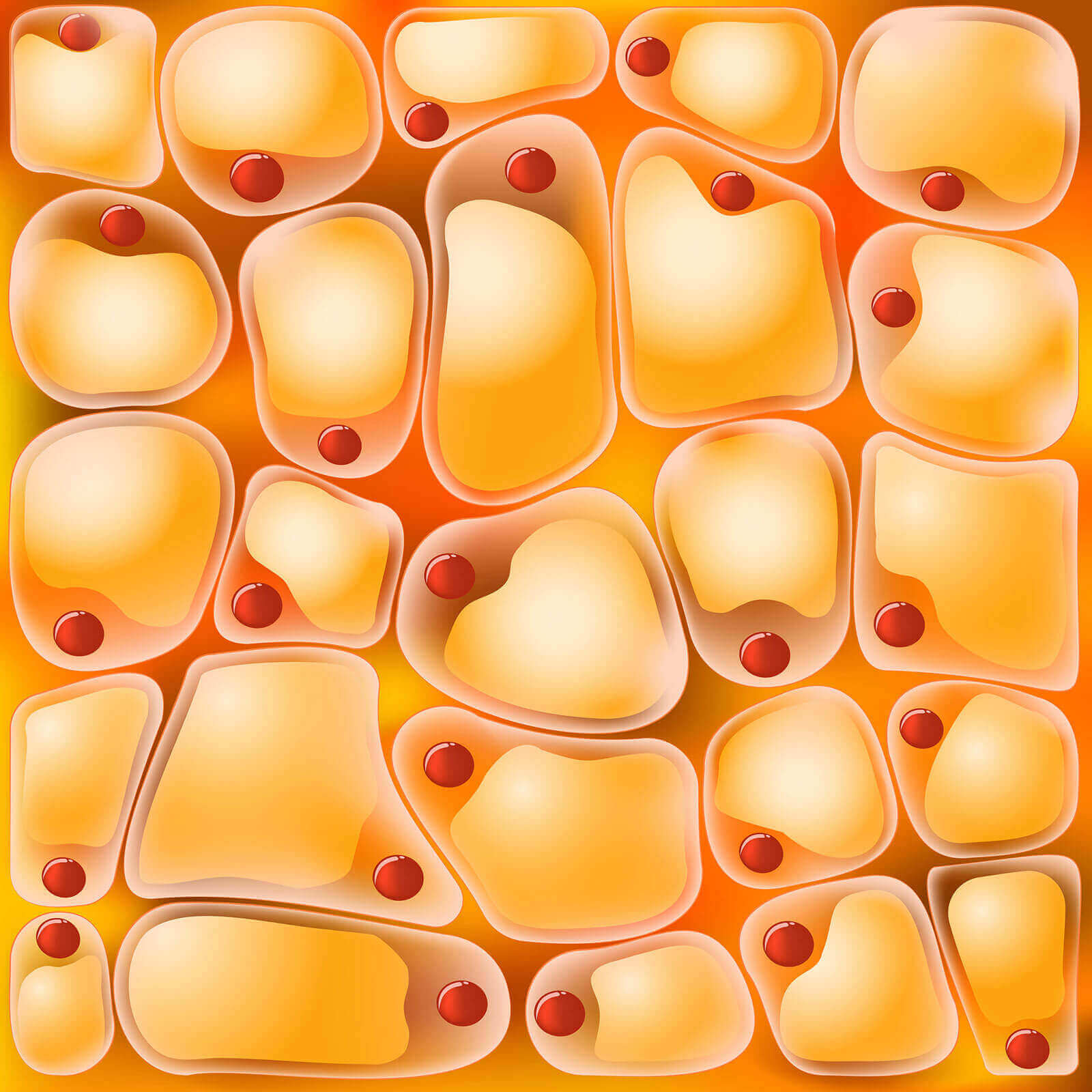 omega fatty acid CLA