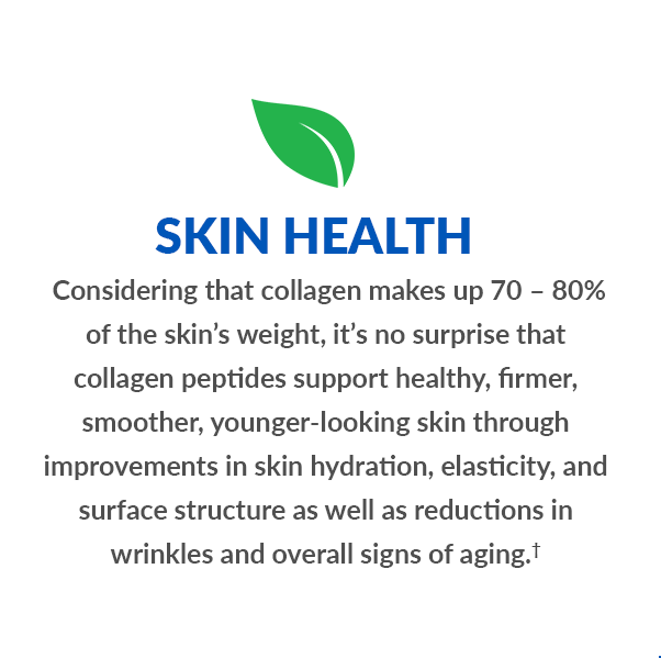 skin layers