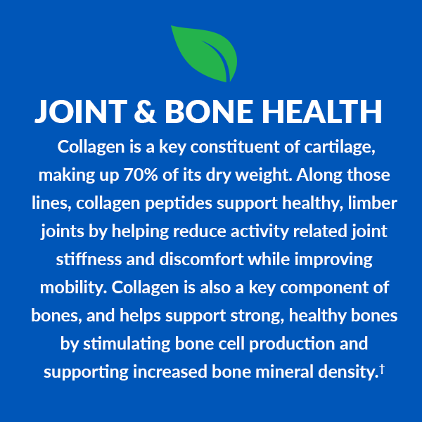 joint and bone heath facts