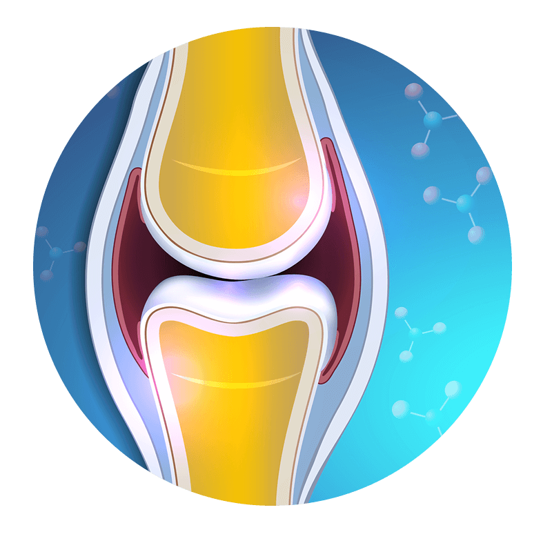 hyal joint