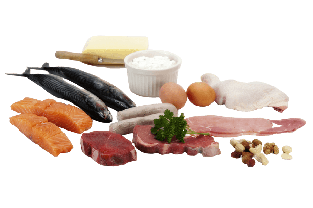 high protein diet meats, fish and dairy