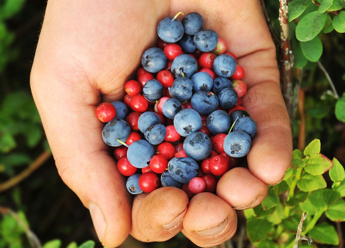 handful of berries