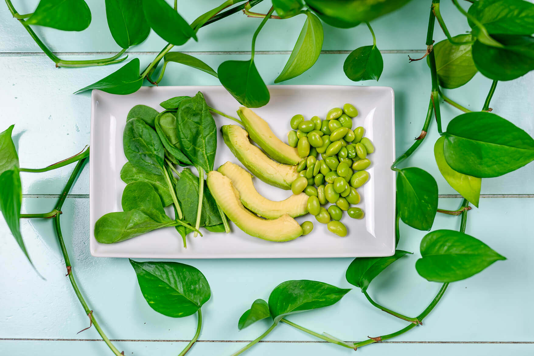 healthy green foods and whole foods plant based