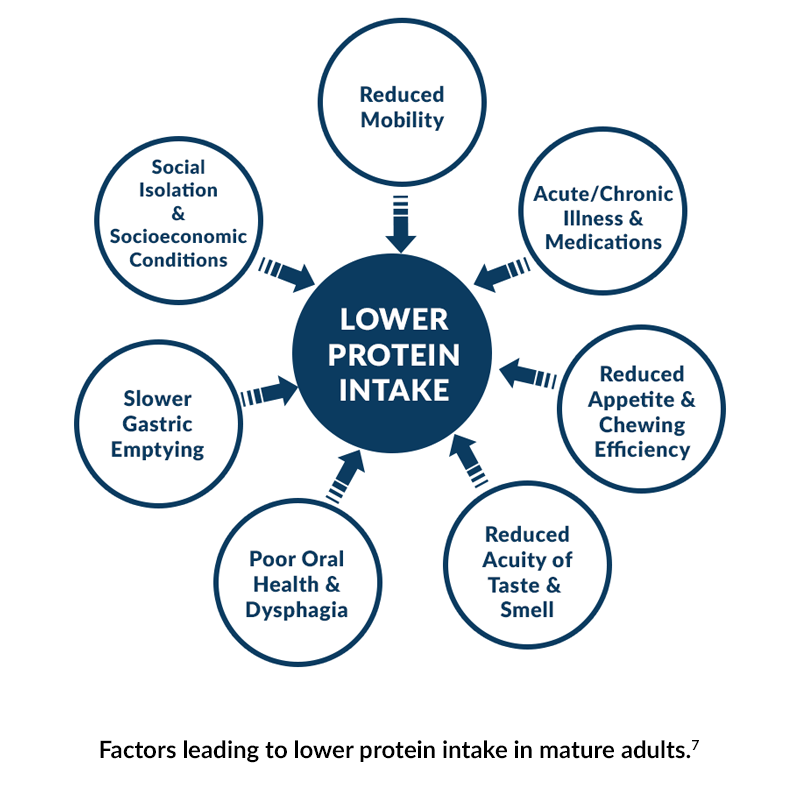 Lower Protein Intake